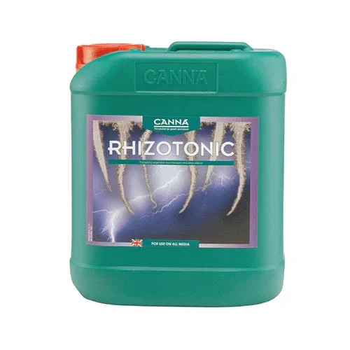 Canna rhizotonic root - canna,