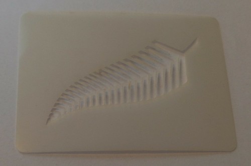 New zealand fern - zealand, face