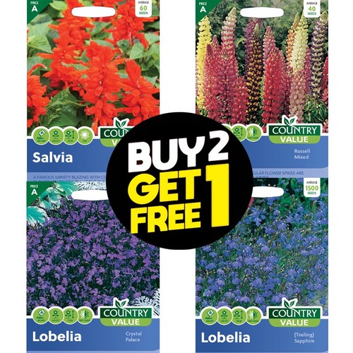 Flower seeds aster lobelia bee - seeds,
