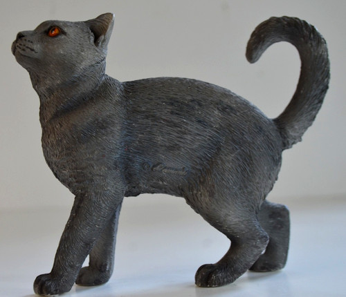 Leonardo grey cat standing - cat,