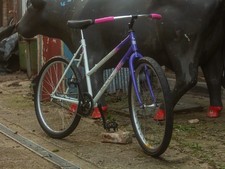 resto-mod coaster brake 90s