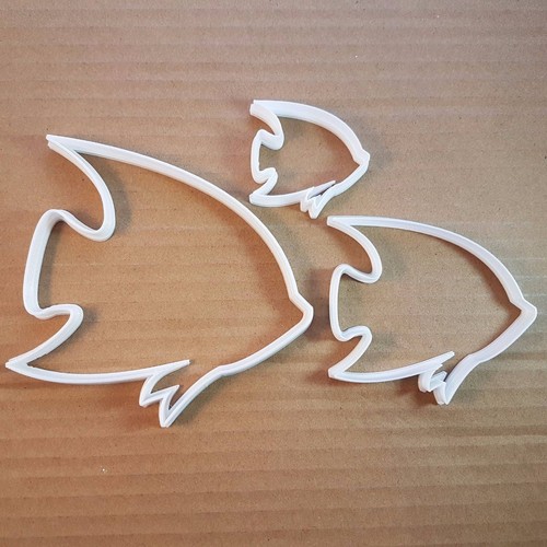 Angel fish dory animal - fish, water
