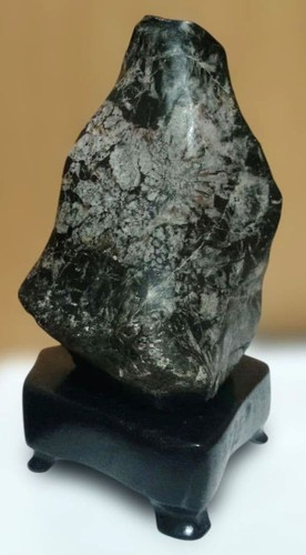 Chrysanthemum suiseki stone - suiseki,