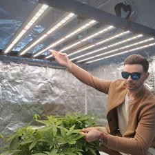 FD6500 Spider Samsung LED Grow