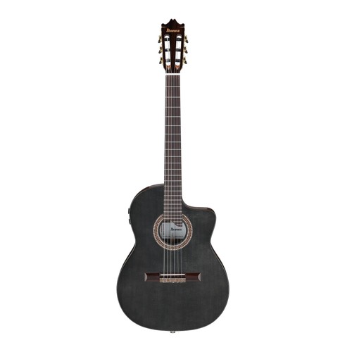 Ibanez ga3007ce acoustic - ibanez,