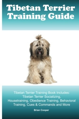 Tibetan terrier training - tibetan,