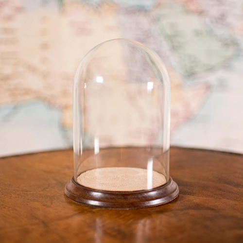 Small antique display dome - antique,