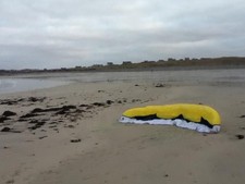  Power kite. PLKB Hornet 6m