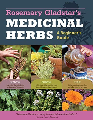 Rosemary gladstar medicinal - rosemary, gladstar's