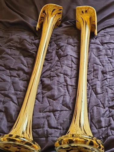 Beautiful long glass vases - beautiful,