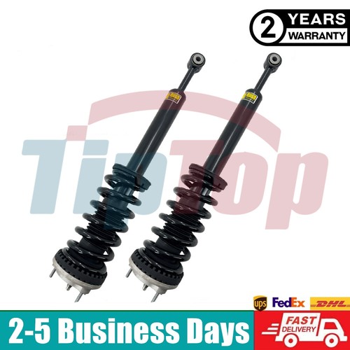 Front shock absorber struts - front,