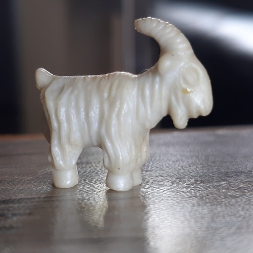 Goat buck - goat,