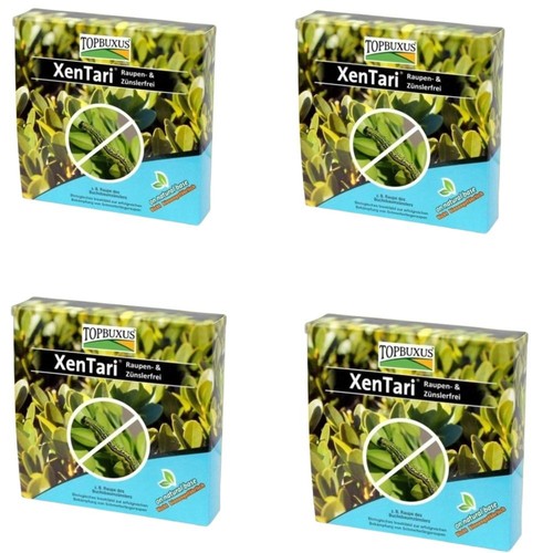 Topbuxus xentari boxwood - topbuxus,