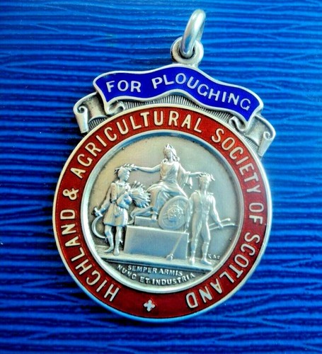 Silver enamel medal - enamel, highland