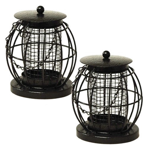 Wild garden bird - 2,