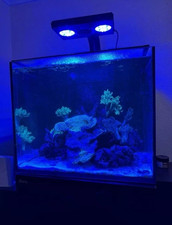 Ecotech Marine Radion XR30 Gen 4 Pro Mobius Ready - 92727310255225  No Bracket