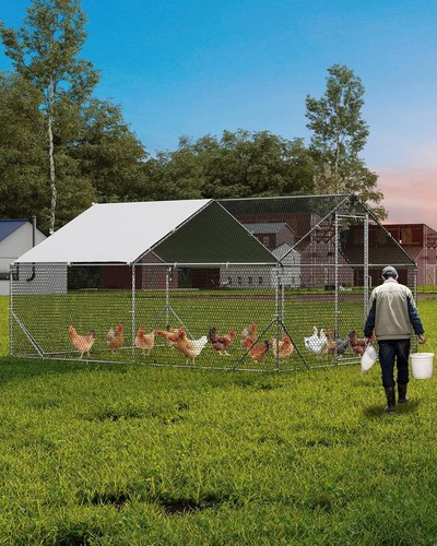 Large metal chicken coop - chicken,