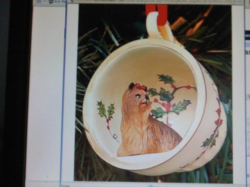 Cute yorkshire terrier teacup - cute,