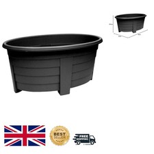 Massive 55cm Ebony Oval