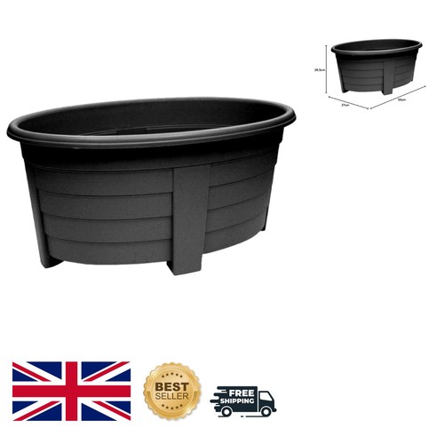 Massive 55cm ebony oval - massive,