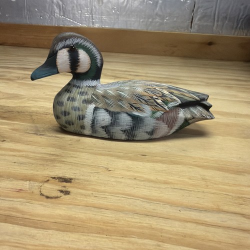Vintage green winged - green-winged, duck