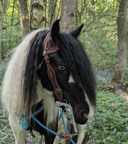 Western headstall bridle full
