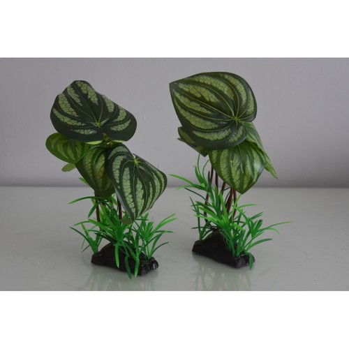 Aquarium red green silk - aquarium, x