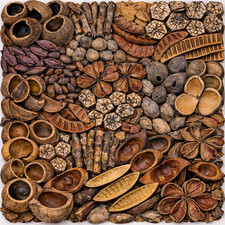 Pick & Mix Blackwater