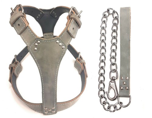 Plain grey leather dog - grey, harness