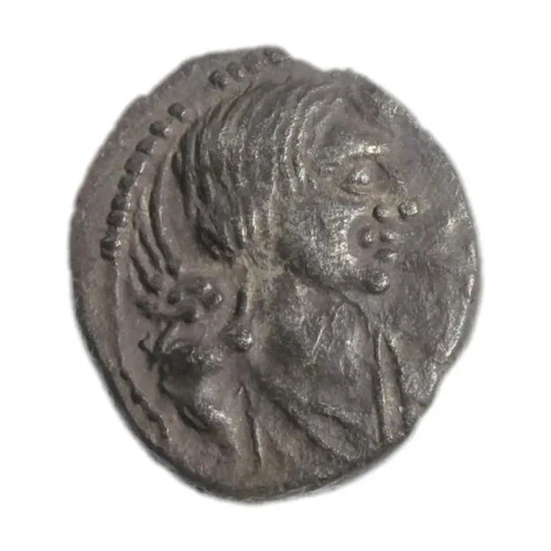 Cunobeline sphinx - cunobeline, ”