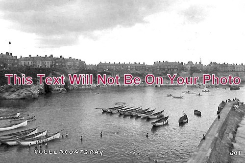 895 cullercoats bay - no,