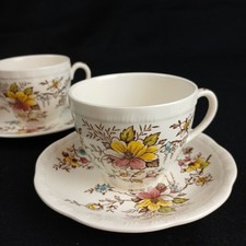 2 Alfred Meakin Orient Color