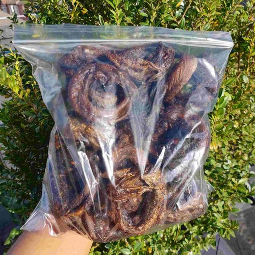 Dried panla fish eja kika - eja,