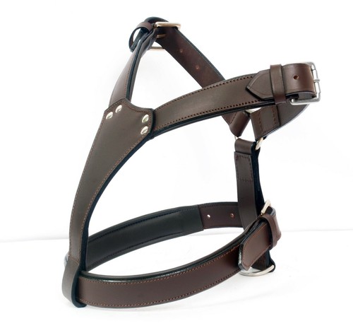 Leather plain dog harness - leather,