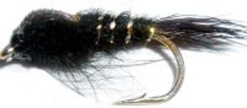 Nymphs gold ribbed - x,