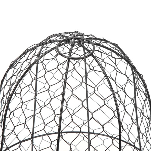 Packs black garden chicken - garden,