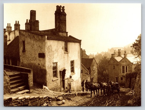 Robin hood bay - hood's,
