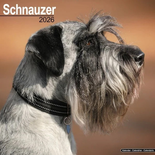 Schnauzer dog x 12 - "12,
