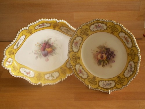 Royal worcester hand - hand, painted