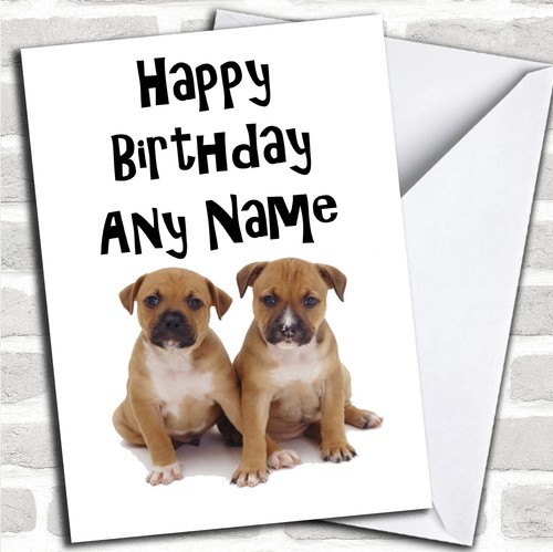 Two staffordshire bull terrier - two,