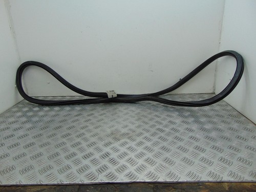 Seat leon right - leon, offside