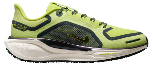 Nike pegasus gore tex - pegasus, gore-tex