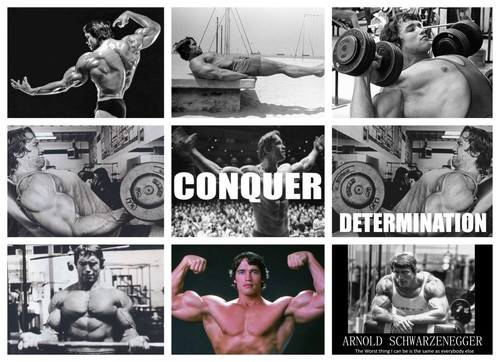 Arnold schwarzenegger arni - schwarzenegger,