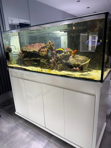 Complete reef system - system, with