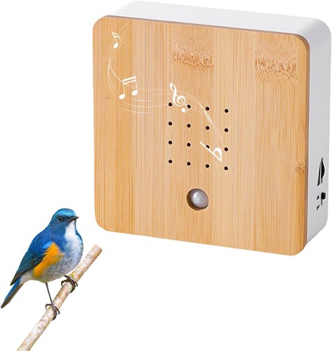 Bird chirping soundbox - soundbox,,