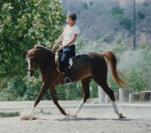 1990s woman horse rider - woman,