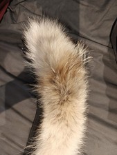 Canada Goose Carson Real