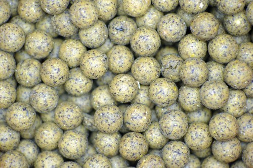 Scopex squid liver carp nait - squid,