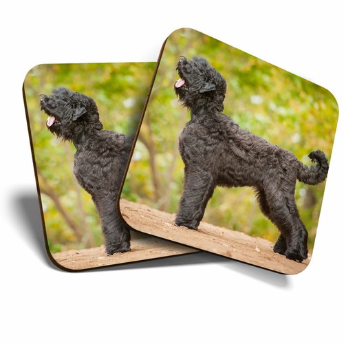 Coasters black russian - 2, x