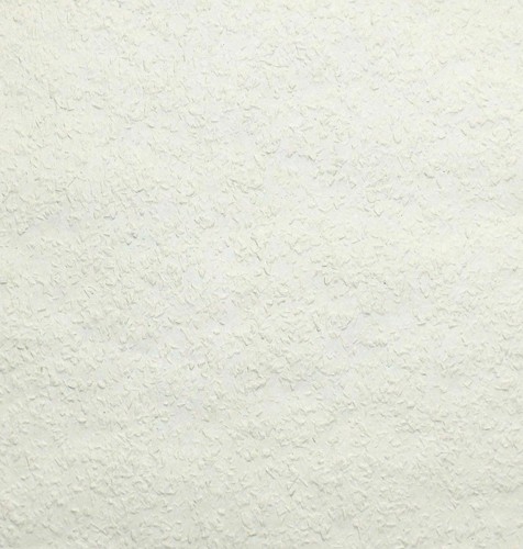 Anaglypta woodchip double 20m - woodchip,